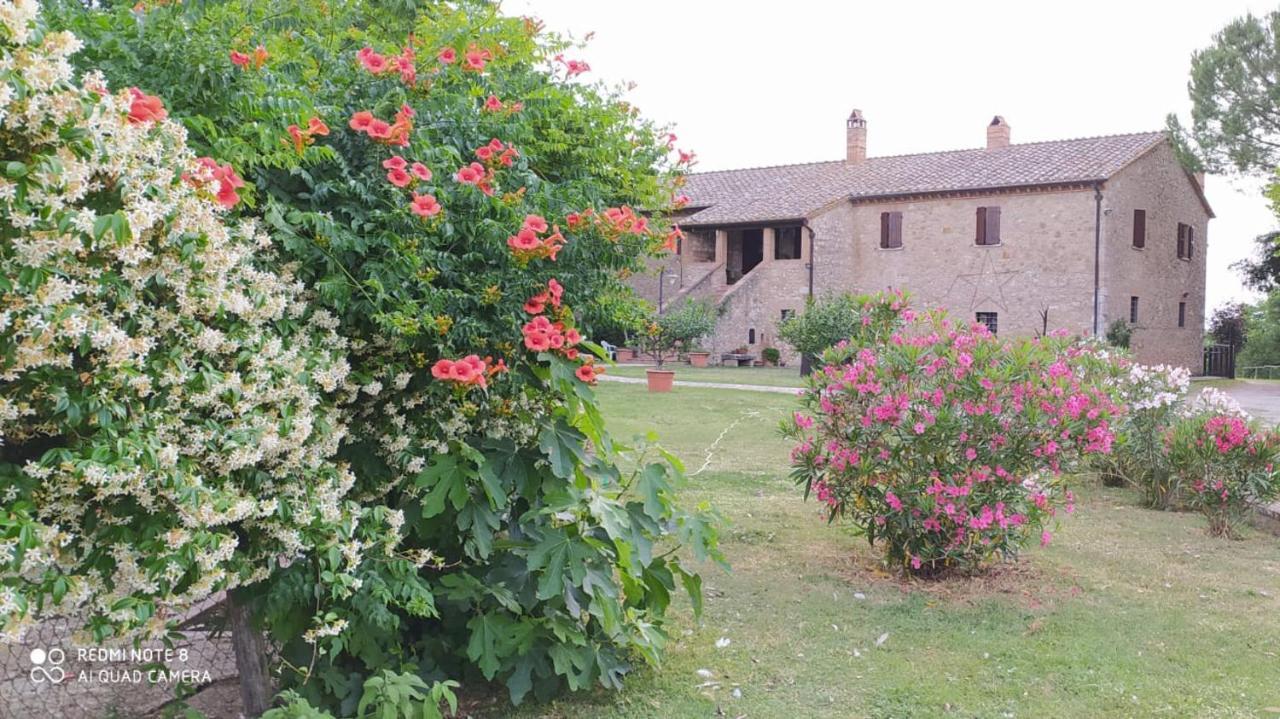 Agriturismo Podere Luchiano Amelia Bagian luar foto