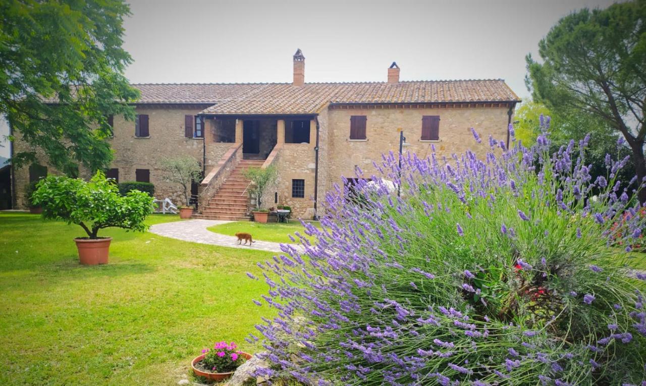 Agriturismo Podere Luchiano Amelia Bagian luar foto
