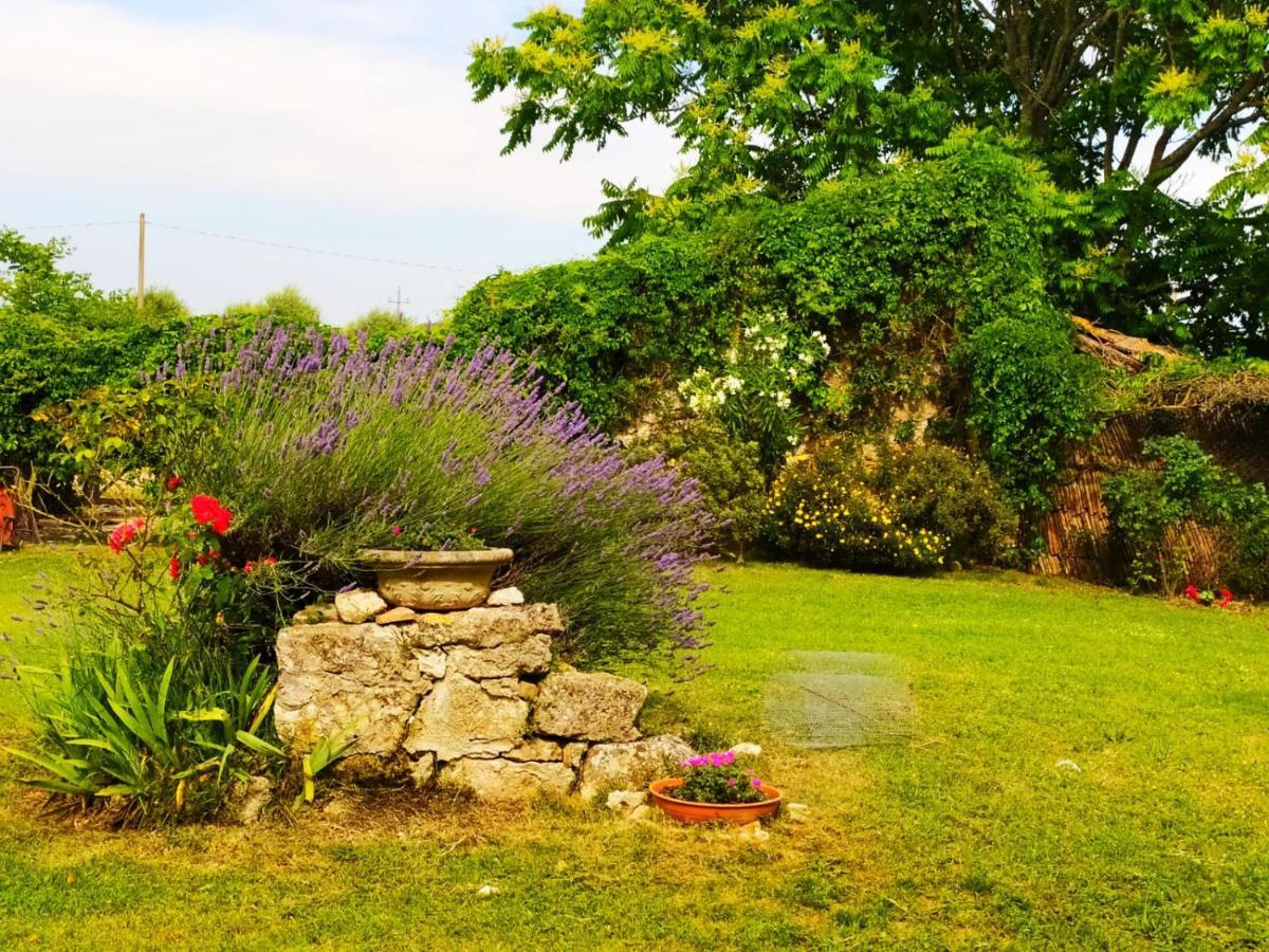 Agriturismo Podere Luchiano Amelia Bagian luar foto