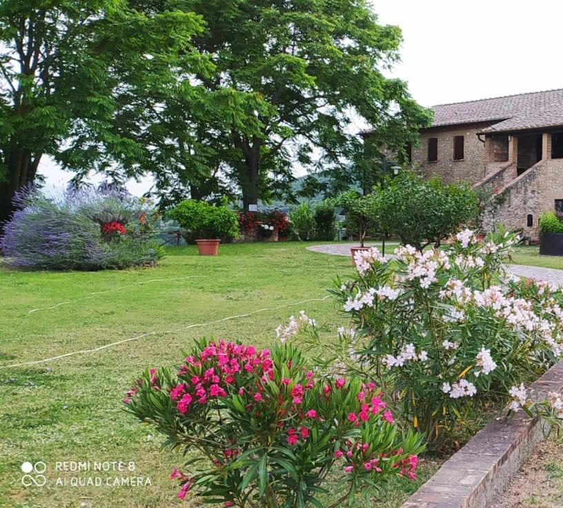 Agriturismo Podere Luchiano Amelia Bagian luar foto