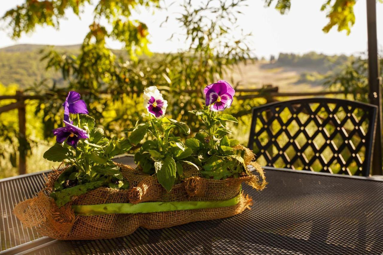 Agriturismo Podere Luchiano Amelia Bagian luar foto
