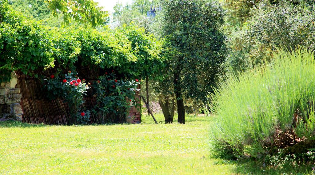 Agriturismo Podere Luchiano Amelia Bagian luar foto