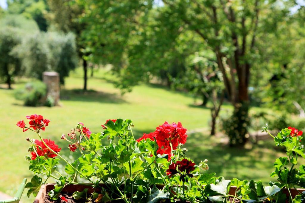 Agriturismo Podere Luchiano Amelia Bagian luar foto