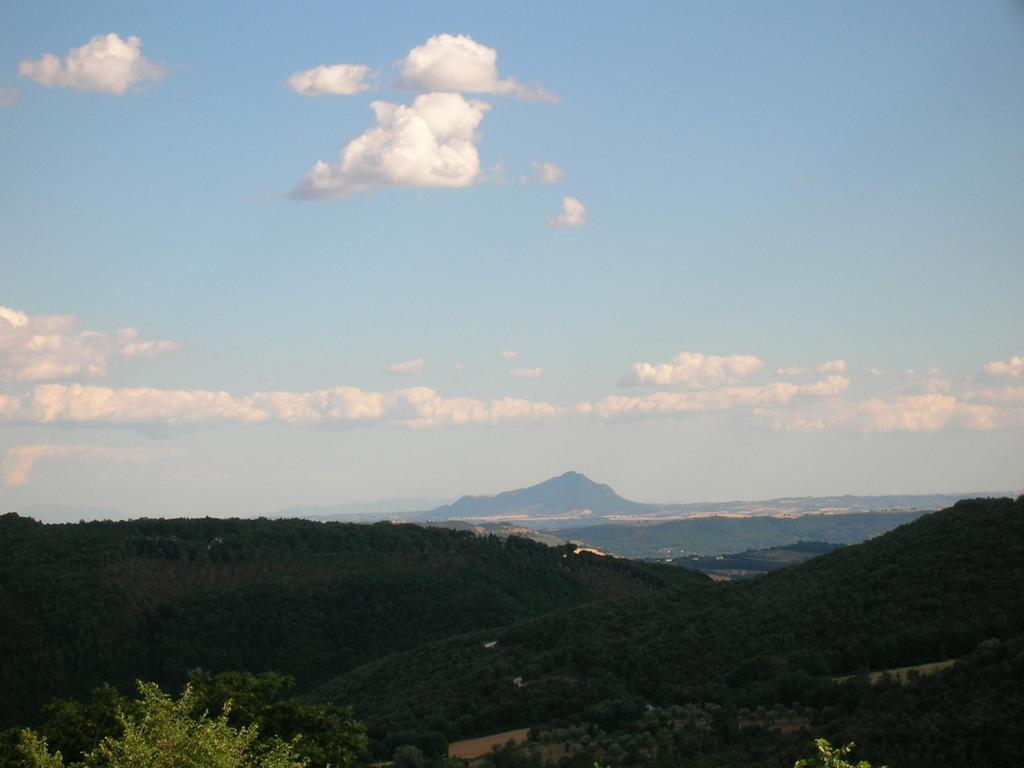 Agriturismo Podere Luchiano Amelia Bagian luar foto