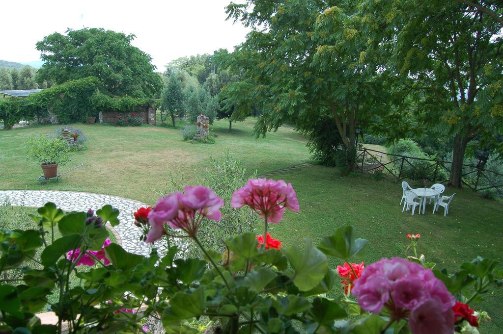 Agriturismo Podere Luchiano Amelia Bagian luar foto